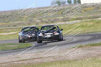 media/Mar-16-2024-CalClub SCCA (Sat) [[de271006c6]]/Group 6/Race/